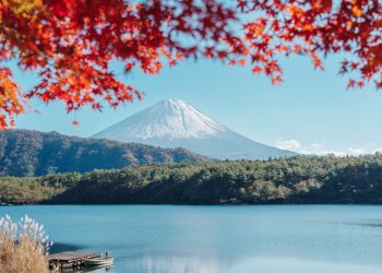 Traditional Japanese Culture and the Four Distinct Seasons: An Ideal Destination for Travelers