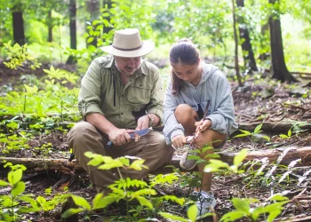Survival in Extreme Environments: Mastering Water Collection, Shelter Building, Hunting, and Animal Defense