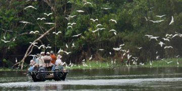 Some Regions of the Amazon Rainforest Have Become Popular Tourist Destinations