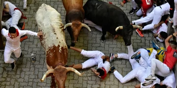 The Running of the Bulls in Spain: A Cultural Tradition with Global Fame