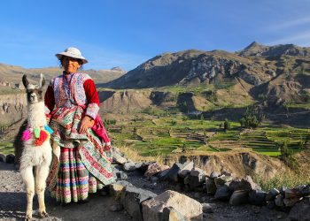 Lost in a South American Town: How Backpackers Found Themselves Through Volunteerism and Human Connection