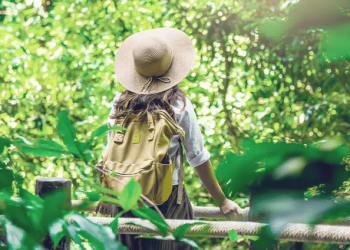 Sustainable Travel and Green Tourism: Emerging Trends for the Future