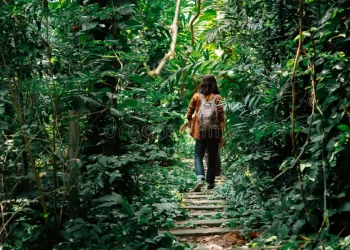 Traversing the Dense Jungle: Experiencing the Ultimate Challenge in Nature