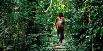 Traversing the Dense Jungle: Experiencing the Ultimate Challenge in Nature