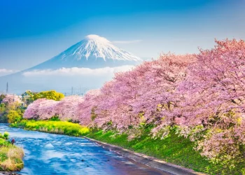 The Lava Rock Zones of Mount Fuji and Its Surrounding Natural Wonders: A Geologist’s Dream