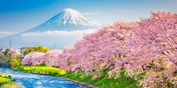 The Lava Rock Zones of Mount Fuji and Its Surrounding Natural Wonders: A Geologist’s Dream