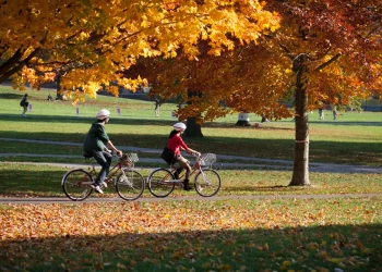 Choosing Eco-Friendly Travel: Public Transport and Bicycles to Reduce Carbon Footprint