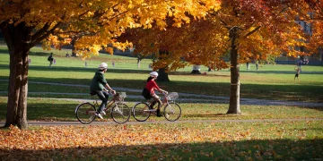 Choosing Eco-Friendly Travel: Public Transport and Bicycles to Reduce Carbon Footprint