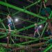 Jungle Adventure: One of the Most Popular Extreme Activities