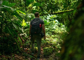 Jungle Trekking Requires Extensive Wilderness Experience and Survival Skills: Overcoming Common Survival Challenges
