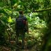 Jungle Trekking Requires Extensive Wilderness Experience and Survival Skills: Overcoming Common Survival Challenges