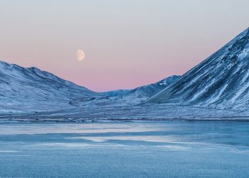 Polar Expeditions: Facing the Extremes of the Arctic and Antarctic