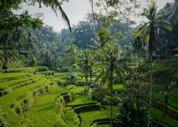 Advocating Green Travel, Sustainable Tourism, and Active Engagement in Protecting Natural Ecosystems