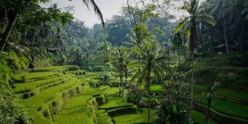 Advocating Green Travel, Sustainable Tourism, and Active Engagement in Protecting Natural Ecosystems