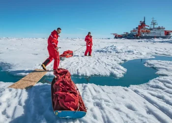 Extreme Adventure Companies: Arctic Ice Fields, Antarctic Drifting, and Polar Bear Expeditions