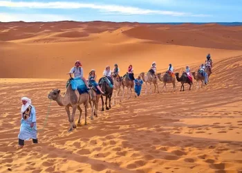 The Sahara Desert and Australia’s Deserts: A Haven for Adventurers and Extreme Sports Enthusiasts