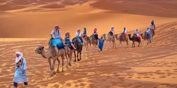 The Sahara Desert and Australia’s Deserts: A Haven for Adventurers and Extreme Sports Enthusiasts