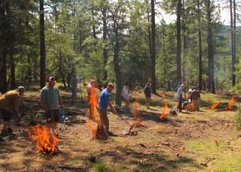 Survival Training: A Must for Modern Adventurers